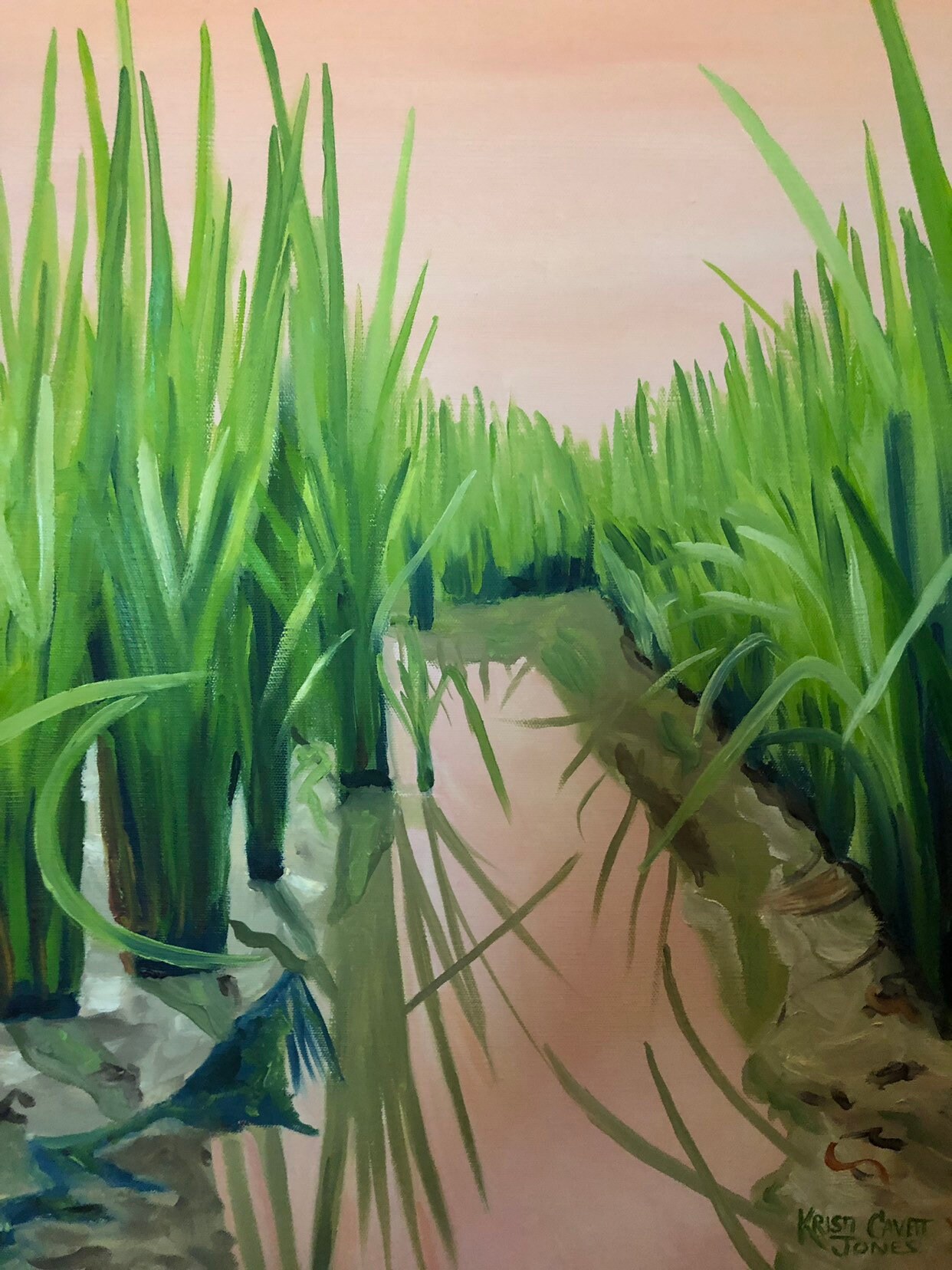 日の出の田んぼ | 18 x 24インチ印象派 | 風景画 農業 農場 田舎