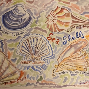 Könnte beinhalten: Aquarellmalerei verschiedener Muscheln, darunter eine Buttermuschel, eine Blitz-Wellhornschnecke, eine große Jakobsmuschel, eine Coquina-Muschel und eine Strombus-Pazifik-Conch. Das Bild trägt den Titel "Sea Shells" und ist signiert mit "KC Jones".