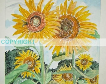 Love & Bloom | 11 X 14 Signed Art Print Sunflower botanical art flower