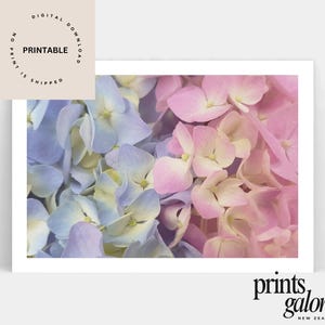 Stylish Wall Art Print - Pink Blue Pastel Hydrangea - Flower Print - Home Decor - Printable Wall Art - Digital Download - Coastal