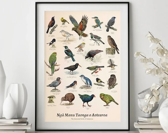 New Zealand Native Birds - Printable NZ - Poster - Kiwi - Bird - Vintage - Māori