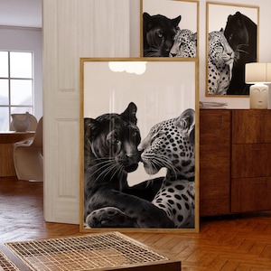 May include: Black and white framed art prints featuring a panther and a leopard in close proximity. The prints are displayed in a room with wooden floors and furniture. The art prints are in wooden frames.