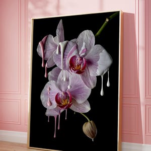 May include: A framed art print featuring a close-up of pink and white orchids against a black background. White and pink paint drips down the flowers, creating a surreal effect. The artwork is displayed in a gold frame.