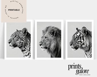 Stylish Wall Art Print - Big Cat Leopard Lion Tiger Print Set 3 - Black and White - Home Decor - Printable Wall Art - Digital Download