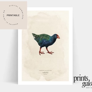 Nya Zeelands inhemska fåglar - Utskrivbar NZ - Affisch - Takahe - Fågel - Vintage - Māori - Kiwi