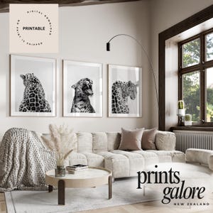 May include: Three framed black and white leopard prints. The prints feature close-up images of leopards in various poses. The prints are displayed above a cream-colored sofa in a well-lit room. The text "PRINTABLE" is visible in the upper left corner.