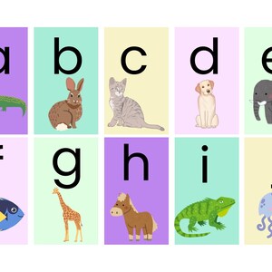 Animal Alphabet Flash Cards