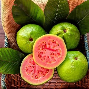 50 Seeds – Pink Guava Seeds for Planting – Suitable for Pots, Greenhouses, and Outdoor Gardens