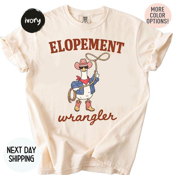 Comfort Colors ABA Shirt, RBT Shirt, Sped Teacher Shirt, Aba Therapy Shirt, Neurodiversity Shirt, BCBA Gift, Elopement Wrangler Goose Shirt