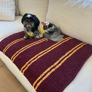 Könnte beinhalten: Eine weinrote Strickdecke mit zwei parallelen goldenen Streifen. Ein kleiner Hund in einem gelb-schwarz gemusterten Outfit liegt auf der Decke, die auf einem beigen Sofa liegt.