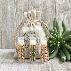 Lip Balm gift set gifts for her gifts for teacher gifts for co worker lip balm set gift for mom lip balm lover inexpensive gift ready
