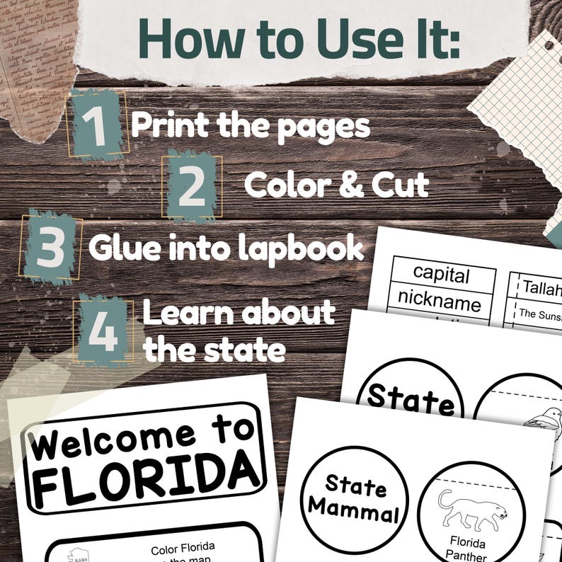 Florida State Lapbook: Printable Geography and History Notebook Pages ...