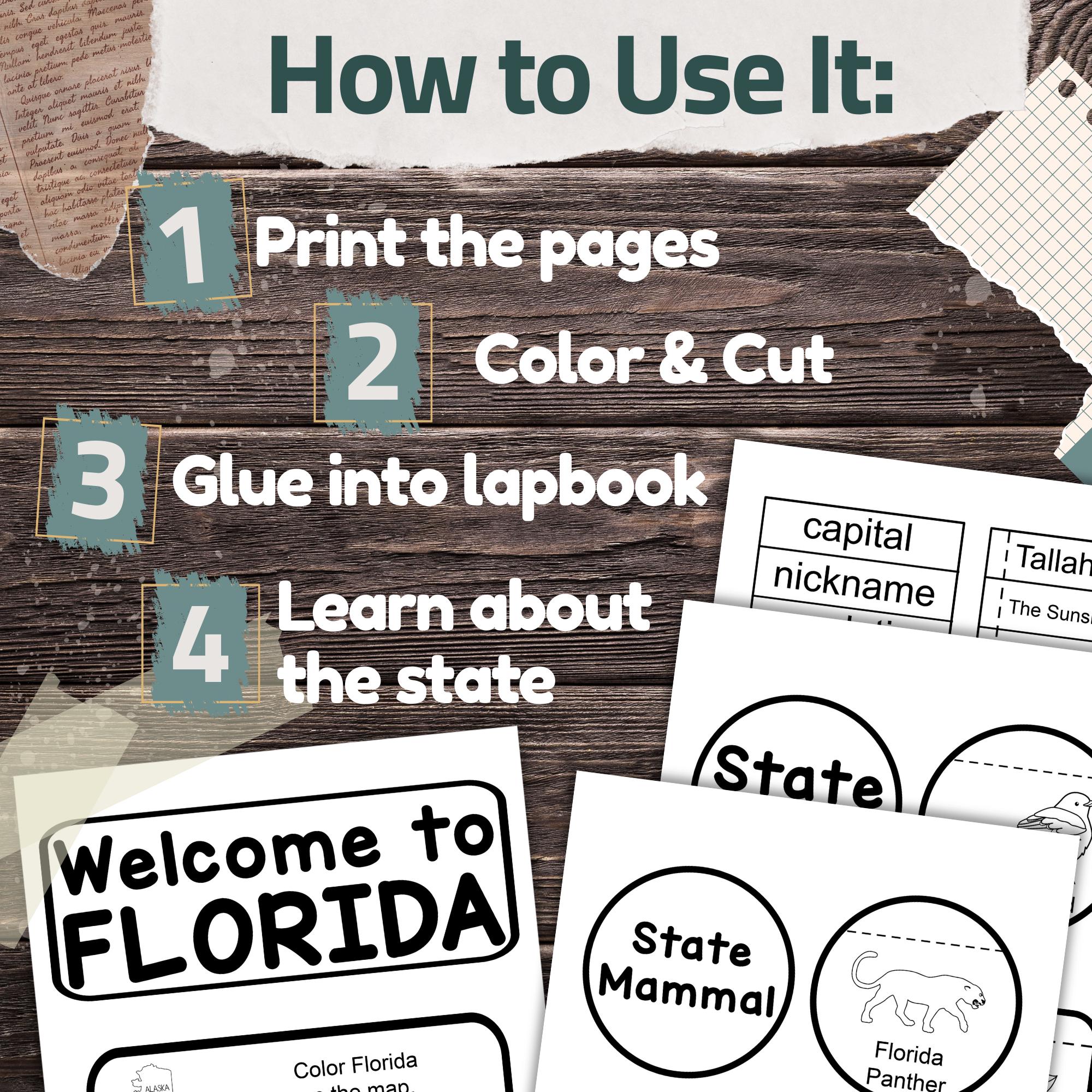 Florida State Lapbook: Printable Geography and History Notebook Pages ...
