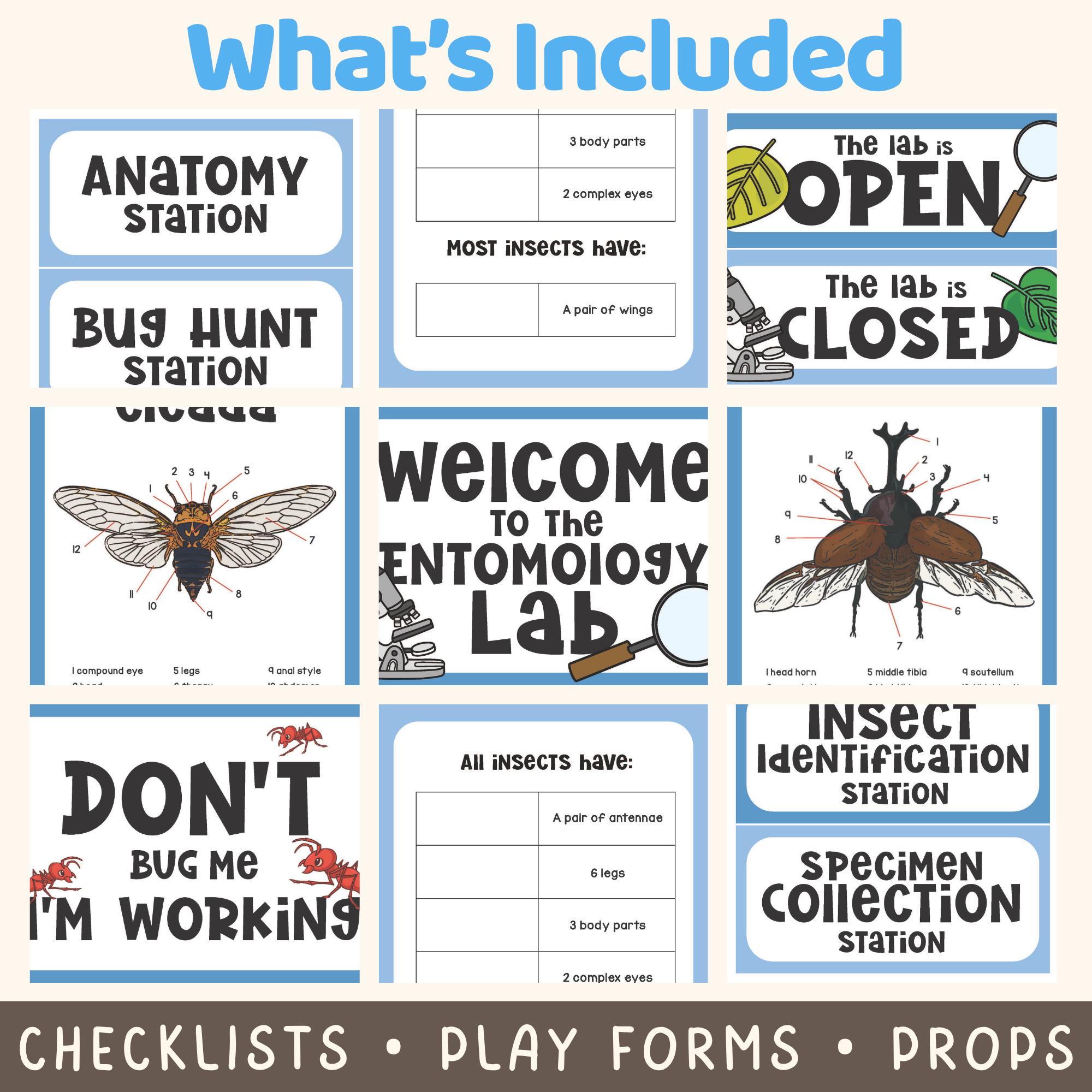 Bug Lab Play Script Entomology Lab Play Pretend for Kids | Insect Science Activity | Bug ...