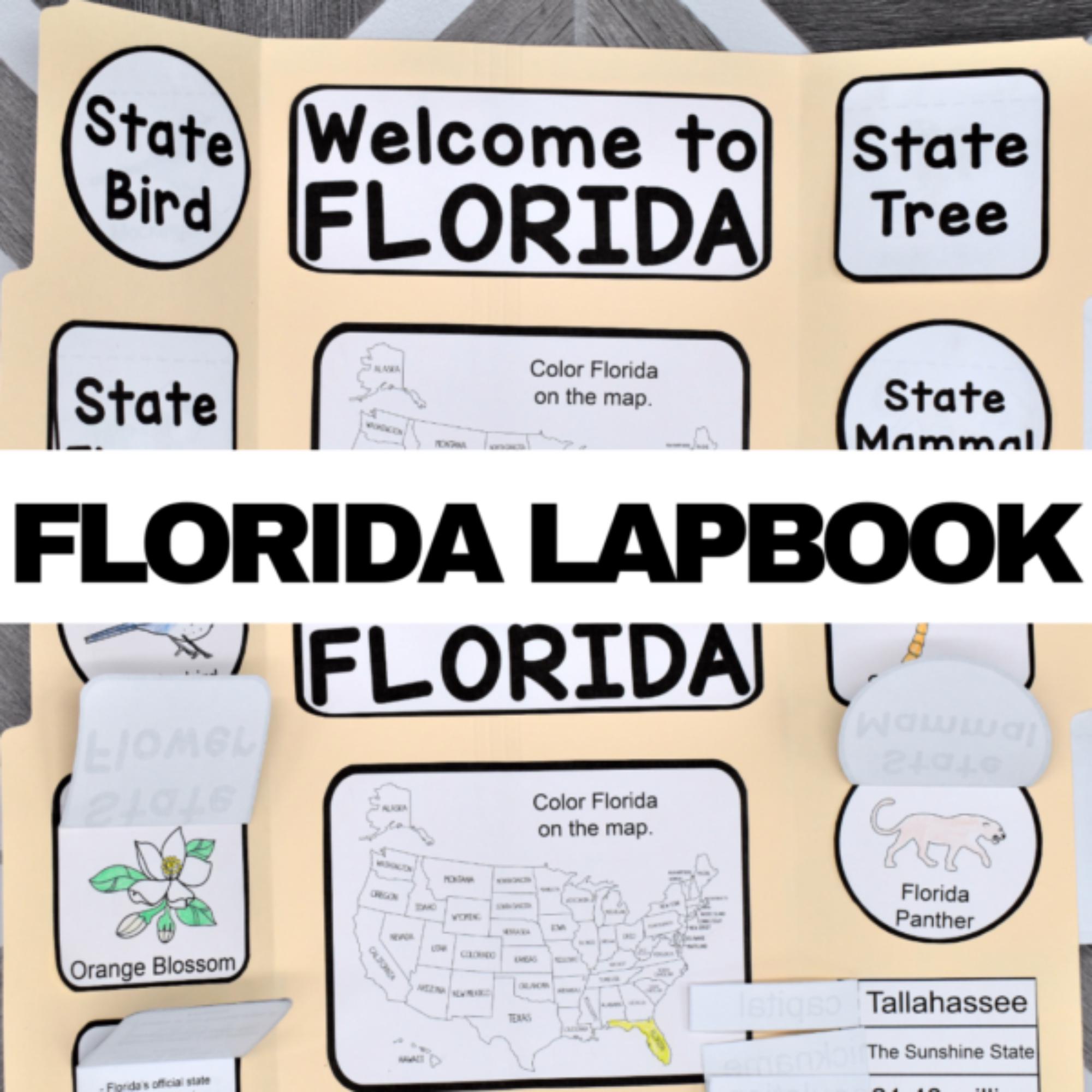 Florida State Lapbook: Printable Geography and History Notebook Pages ...