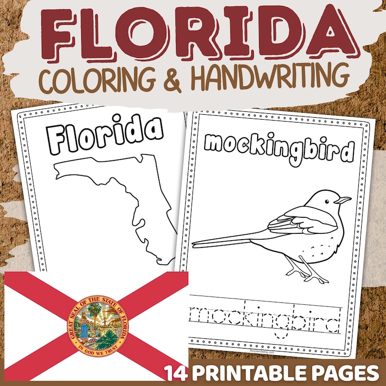 Florida Preschool Worksheets | State Symbols Prek Kindergarten Social ...