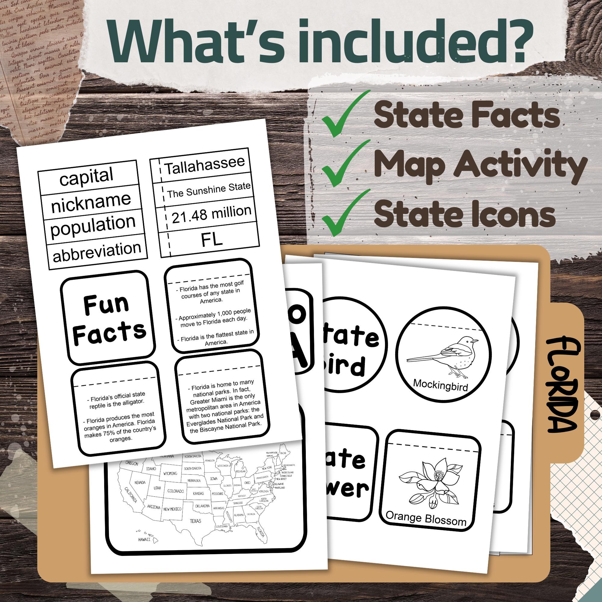 Florida State Lapbook: Printable Geography and History Notebook Pages ...