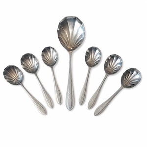 Könnte beinhalten: Ein Set aus sieben silberfarbenen Metalllöffeln, die fächerförmig angeordnet sind. Die Löffel haben eine ausgeprägte muschelförmige Laffe mit strahlenförmigen Rillen und einen glatten, sich verjüngenden Stiel. Der mittlere Löffel ist deutlich größer.