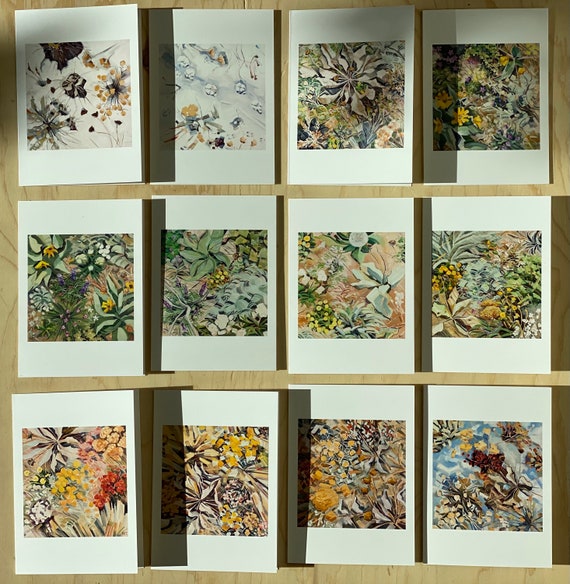 10 count Boise Notecard Set