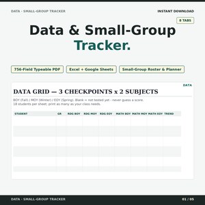 May include: A digital Data & Small-Group Tracker document featuring 8 tabs, a 756-field typeable PDF, Excel and Google Sheets compatibility, and a roster planner. The layout includes a data grid for 3 checkpoints across 2 subjects.
