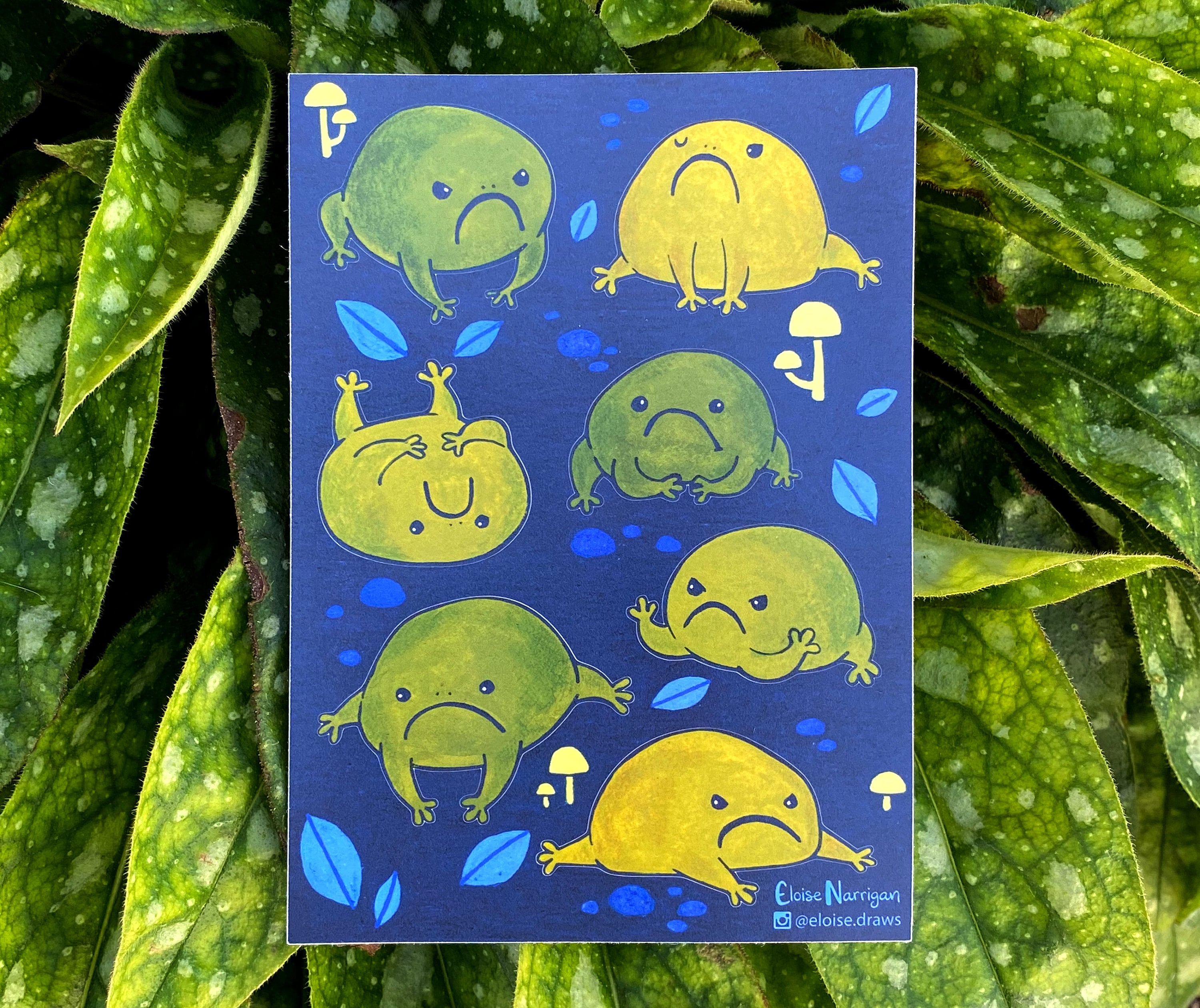 Grumpy Rain Frogs Sticker Sheet Eco Friendly Paper Stickers - Etsy
