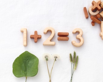 Wood Number and Math Symbol Blocks