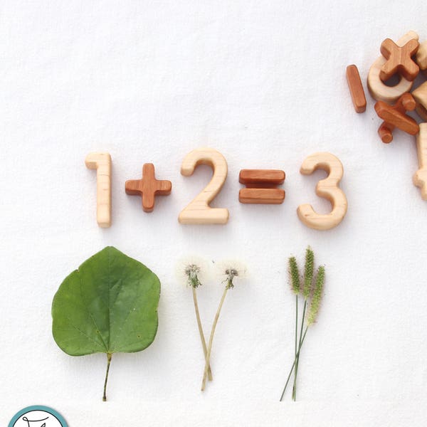 Wood Number and Math Symbol Blocks