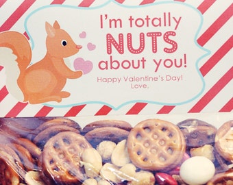 INSTANT Download-Valentine's Day Treat Bag Tags: NUTS about You! -Printable PDF