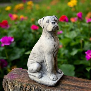 Beton bokser hond standbeeld Steen zittende hond beeldje Cement dier sculptuur Outdoor tuinornament Huisdier minnaar cadeau Woondecoratie Huisdier verlies