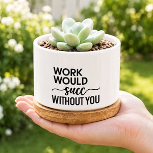 May include: A white ceramic cylindrical planter with a light brown wooden base, containing a small green succulent plant. The front of the planter features black text that reads: WORK WOULD succ WITHOUT YOU, with the word succ in script.