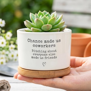 Könnte beinhalten: Ein weißer Sukkulenten-Übertopf aus Keramik mit einem Bambussockel, der den schwarzen Aufdruck trägt: Chance made us coworkers, Bitching about everyone else made us friends, mit einem kleinen Herzsymbol unter dem Text.