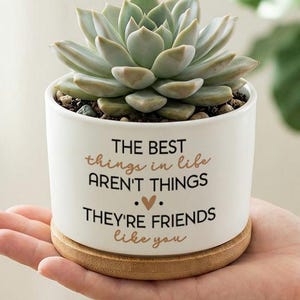 Maceta para suculentas con frase de amistad, maceta de cerámica con base de madera, decoración minimalista de escritorio blanca, maceta pequeña para cactus, regalo para tu mejor amiga.