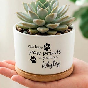 May include: A white ceramic planter with a succulent plant, resting on a bamboo coaster. The planter has the text "cats leave paw prints on your heart Whiskers" in black. The succulent has green and light green leaves.