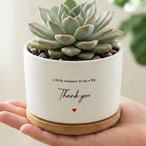 Pode incluir: Uma pequena planta suculenta num vaso de cerâmica branco com base de madeira. O vaso tem o texto "a little ornament to say a big Thank you" com um coração vermelho. A suculenta tem folhas verdes e verde claro.
