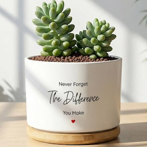 May include: A white ceramic planter with two green succulents, set on a wooden base. The planter has the text "Never Forget The Difference You Make" with a small red heart. The background is a light-colored wall and a wooden surface.