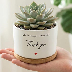 May include: A white ceramic plant pot with a succulent. The pot has the text "a little ornament to say a big Thank you" and a red heart. It rests on a wooden base. The plant is a light green color.