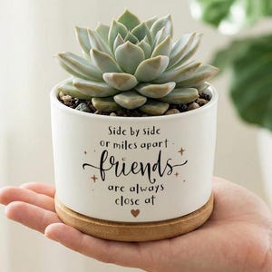 Freunde Zitat Keramik Blumentopf, Side by Side oder Miles Apart Pflanzgefäß, niedlicher Sukkulenten / Kaktus Topf, Freundschaft Geschenk für Sie, Home Office Dekor