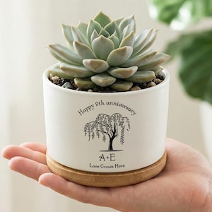 May include: A white ceramic plant pot with a succulent, on a wooden base. The pot features a black weeping willow illustration and the text "Happy 9th anniversary", "A+E", and "Love Grows Here". The plant pot is holding a succulent.