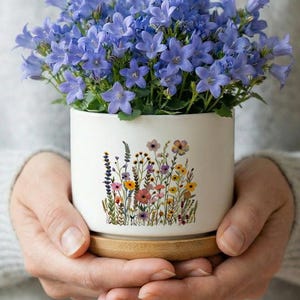 Puede incluir: Una maceta de cerámica blanca con un diseño floral, que contiene campanillas azules. La maceta se apoya en un pequeño platillo de madera. La maceta se sostiene con ambas manos.