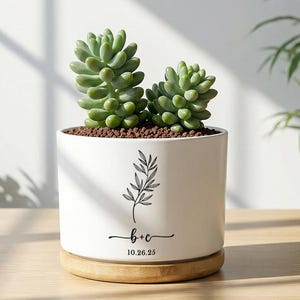 Peut inclure: Un pot de fleurs en céramique blanche avec deux succulentes vertes. Le pot a une base en bois et présente un motif floral noir avec le texte "b+c" et la date "10.26.25".