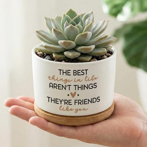 May include: A white ceramic plant pot with a succulent, set on a bamboo base. The pot has the text "THE BEST things in life AREN'T THINGS. THEY'RE FRIENDS like you" in brown and black. The succulent has pale green leaves.