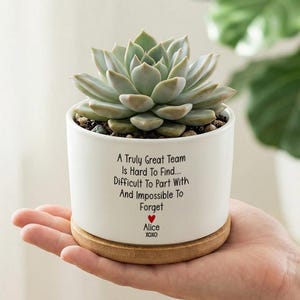May include: A white ceramic planter with a succulent plant, resting on a wooden base. The planter has the text "A Truly Great Team Is Hard To Find... Difficult To Part With And Impossible To Forget" with a heart and the name "Alice".