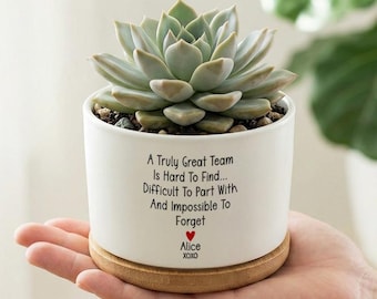 Custom Team Appreciation Succulent Pot, Personalized Coworker Leaving Gift With Name, Farewell Planter For Colleague