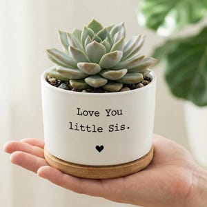 May include: A white ceramic pot with a succulent plant, resting on a wooden base. The pot has the text "Love You little Sis." and a black heart. The succulent has green and light green leaves.