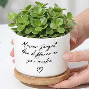 Maceta de cerámica para suculentas con la frase grabada "Nunca olvides la diferencia que marcas", maceta blanca con platillo de madera, regalo de agradecimiento para el maestro.