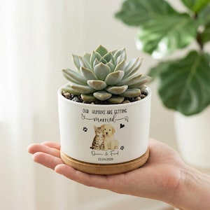 Puede incluir: Una maceta de cerámica blanca con una planta suculenta, con un gráfico de gato y perro y el texto "OUR HUMANS ARE GETTING MARRIED". La maceta se asienta sobre una base de madera e incluye los nombres Owen & Ford y la fecha 22.04.2026.