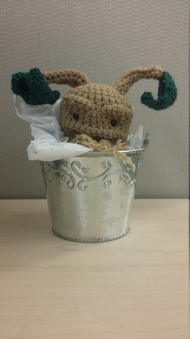 baby mandrake baby mandrake
