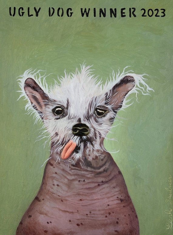Zsa Zsa 2019 Ugliest Dog Ugliest Dog Contest Winner Ugly Dog