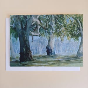 Région de la rivière Murray - Carte de voeux vierge avec enveloppe imprimée en Australie