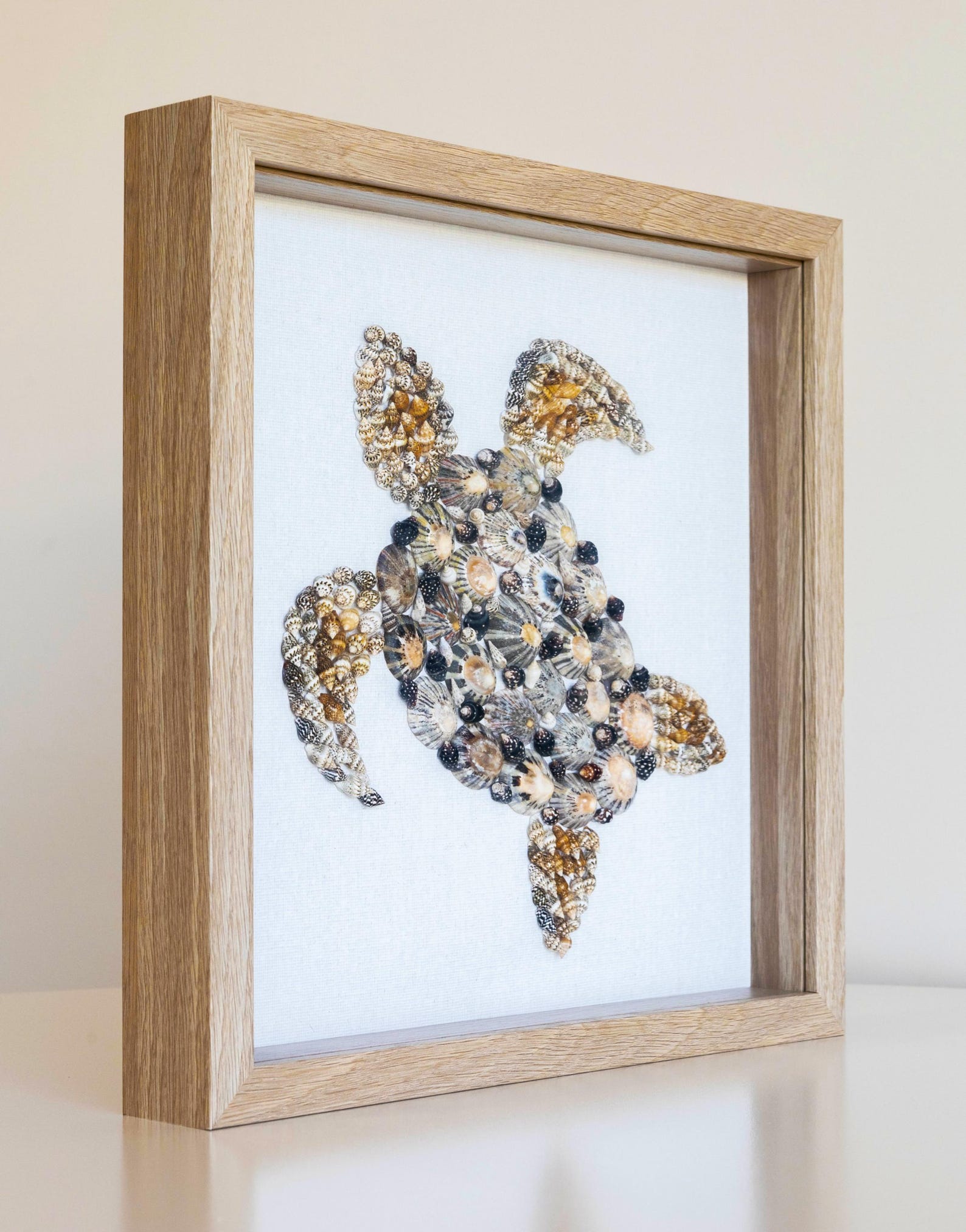 Hand Crafted Shell Turtle Framed Hamptons Style for Coastal Beach Decor ...